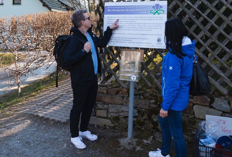Wanderer an der Informationstafel zur Krokus-Schleife: Eine große weiße Tafel mit der Überschrift "Die Drebacher Krokus-Schleife" und dem markanten lila Krokus-Symbol gibt Auskunft über den ca. 3 km langen Rundwanderweg.