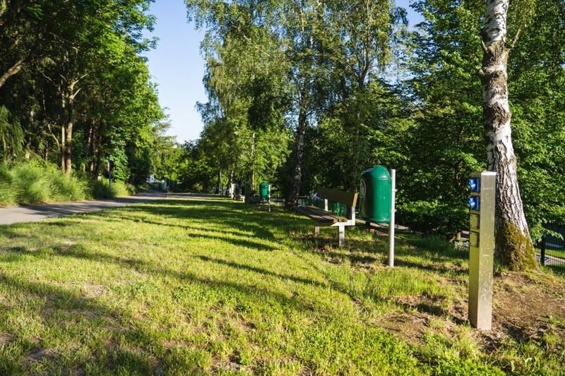 Grünanlage auf einem Campingplatz mit Parkbank, Mülleimer und einer Stromsäule für Wohnmobile. (Link öffnet das Foto vergrößert in einem Popupfenster)